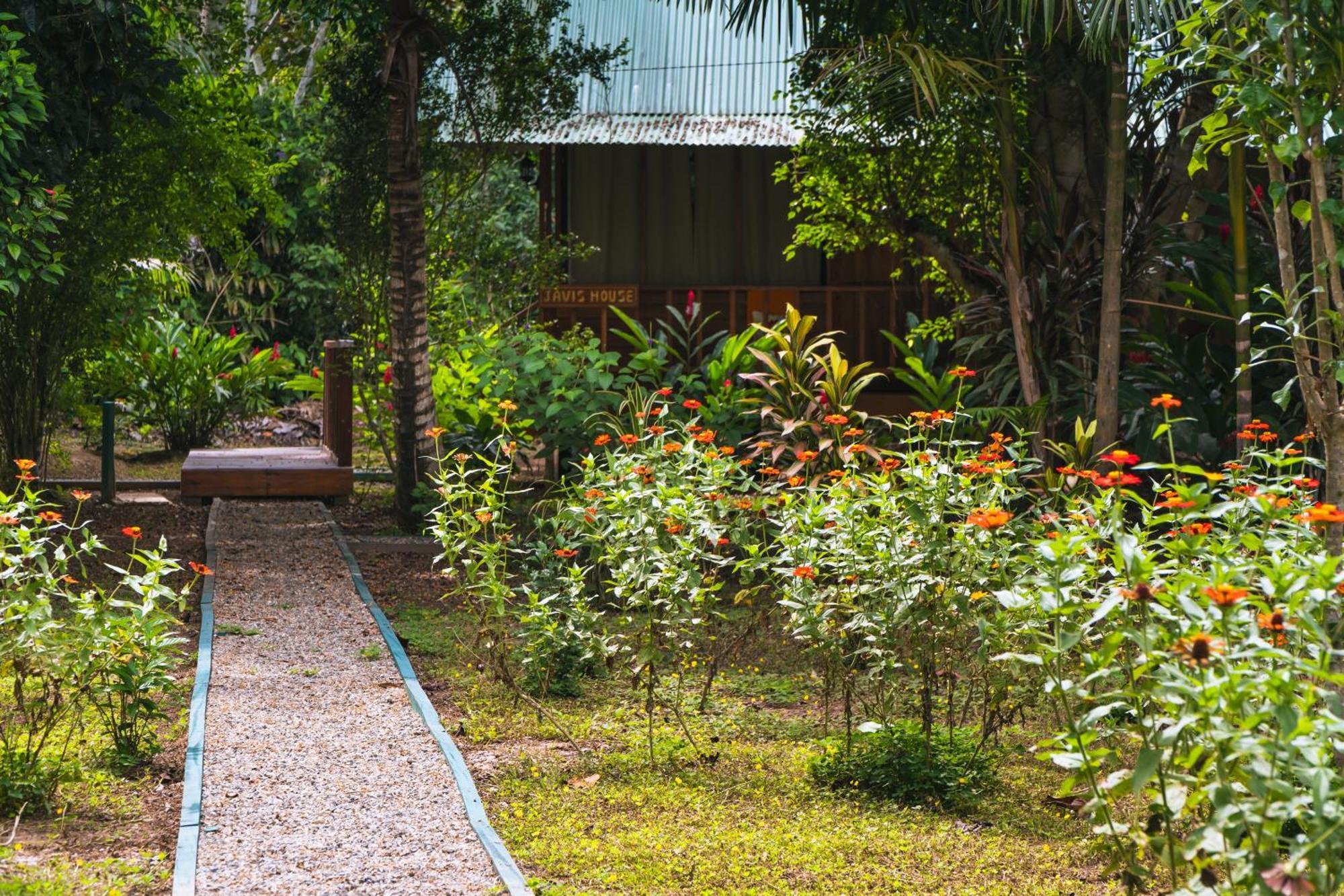 Passiflora Camp Puerto Maldonado Exterior foto